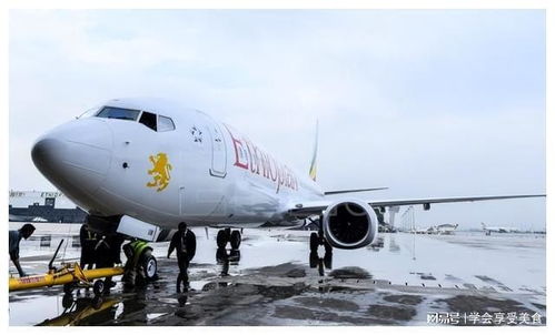 波音787首起空难背后